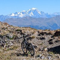 Scott Pearson (@scottpearson) 's Twitter Profile