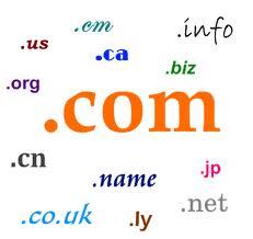 We sell premium keyword rich domain names that will generate natural search engine traffic. We also develop & sell websites that are perfect for beginners.