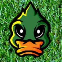 DuckyTips (@ducky_tips) 's Twitter Profile