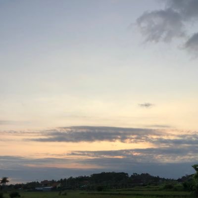 DevSoshi's profile picture. 