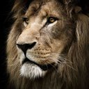 Forever King 👑 - @KingBrooks247 - Twitter