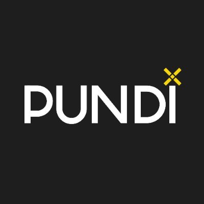 Pundi X Logo