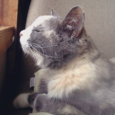 なかつかゆりさんのプロフィール画像