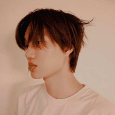 fan account | exo, enhypen & yuzuru 🫶🏼 | 26