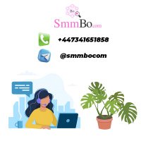 smmbo.com (@smmbocom) 's Twitter Profile