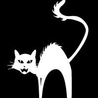 Wild Side (@wildsidecats) 's Twitter Profile Photo Wild Side (@wildsidecats) 's Twitter Profile Photo