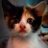 MarcoMarkeni's profile image