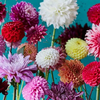 hr89644542's profile picture. pとキャバしてます🔰