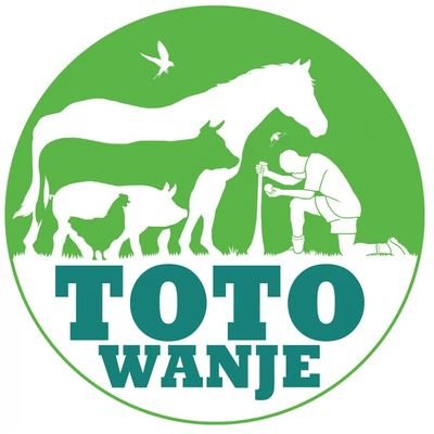 TOTOWANJE Profile Picture