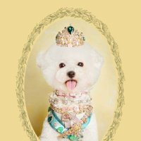 Alexander Ellis (@ajwellisellis) 's Twitter Profile Photo Alexander Ellis (@ajwellisellis) 's Twitter Profile Photo