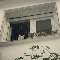 ASEN (@hmh1799084347) 's Twitter Profile