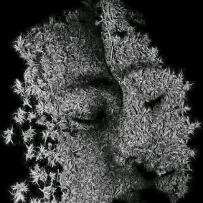 steven_makhura's profile picture. A Human Resource Management graduate. A Sales and Stockroom Associate at The Hub.
Self Made Business Man in Decór and Chicken and Egg Farming!