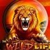 luckylionscrew (@luckylionscrew) Twitter profile photo luckylionscrew (@luckylionscrew) Twitter profile photo