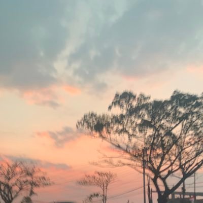 lrntobethghtfl's profile picture. an isfp whose soul is being trapped