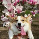 LhRatcha's profile picture. An investor, cryptocurrency owner,