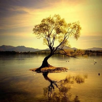 jachu2530PLUE's profile picture. 