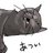 ___youki__'s profile image