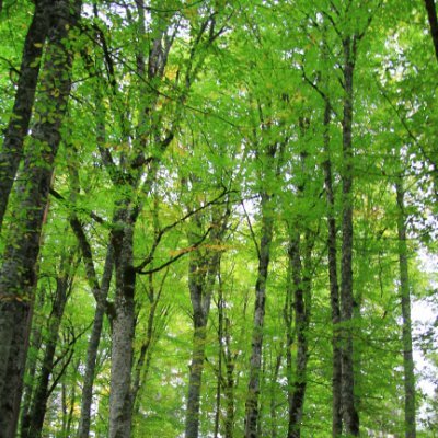 kilicmurat23's profile picture. MEB