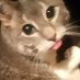 Null (@kinneypuff) Twitter profile photo Null (@kinneypuff) Twitter profile photo