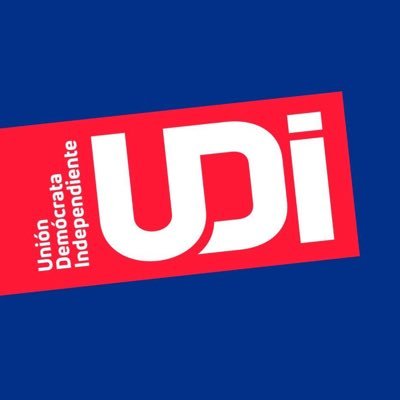 UDI Profile