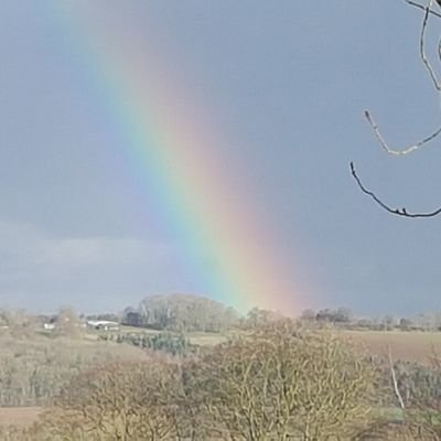 Rbu33340035's profile picture. Confluence is key!
High probability mean reversion swing trade setups. 
trades lasting 1- 7 days
(EWT, Cycle, and Technical analysis)
Notes for own use.