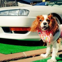 ゆう (@_via__max) 's Twitter Profile