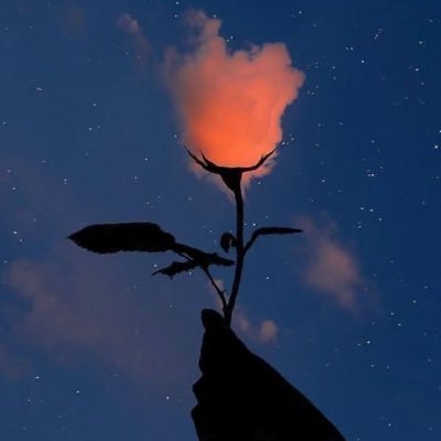 bIAukWdp4rFWqoB's profile picture. 