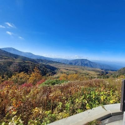 tRGcsQo0NNTVN4L's profile picture. 