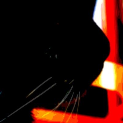 shilanaihito's profile picture. 作家を夢見るどこかの大学生です。 色々知るために始めました。