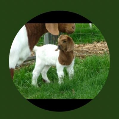 Ashkenazi Jew,constitutional scholar, staunch moderate and a seeker of truth. Woke needs cancelled.WA state is a liberal cesspool with a climate dictator. GOAT