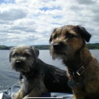 Lord Oscar Blue & Lady Ruby Red, BT Squad(@LordOscarBlueL1) 's Twitter Profile Photo