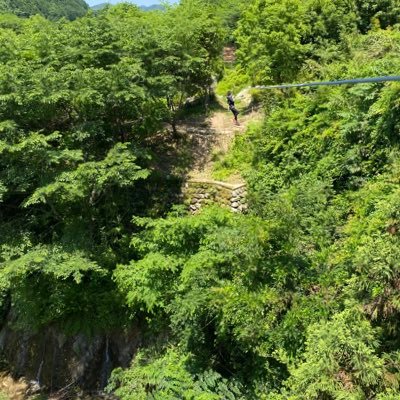 yam1829041's profile picture. Ringo Jam