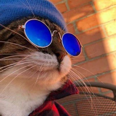 pigsdontfly1's profile picture. info jajan racun shopee
karena self reward itu kewajiban aowkowk