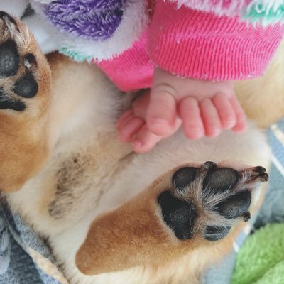 3kidsmama86's profile picture. ママ垢！👧🏻(7y)👧🏻(6y)👦🏻(4y)👶🏻(2y)🐕(8y) タメ語◎※無言フォロー失礼します