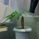 rhett yu - @austin_yu - Twitter