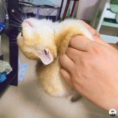 Akun khusus untuk marah - marah