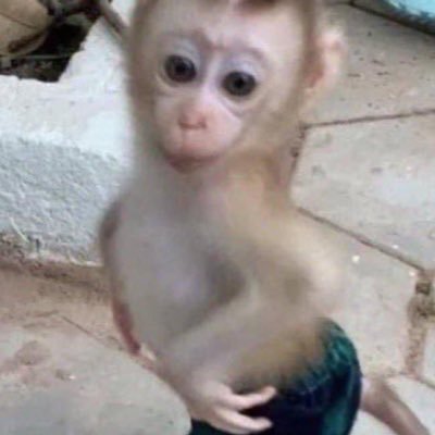 archivealeh's profile picture. não sei