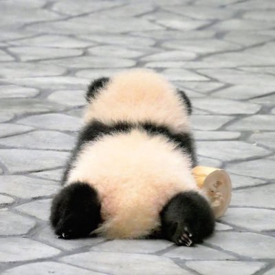 whiztles_'s profile picture. 