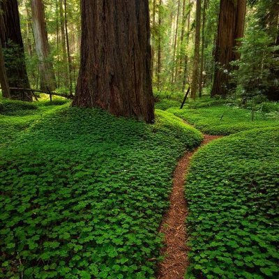 jackrico01's profile picture. 