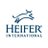 Heifer_Uganda