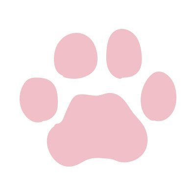 ねこ暮らし いぬ暮らし
共に暮らすこと
🐱パートナー🐶のためにできること
色々 学びたいと思ってます