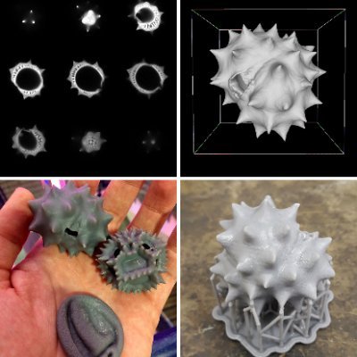 Scanning & printing the world's pollen in 3D, then sharing the outputs for outreach, education & research. Tweets by @OliJWilson, funded by @NERCscience.