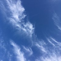 blueflame (@blueflame_tu) 's Twitter Profile Photo blueflame (@blueflame_tu) 's Twitter Profile Photo