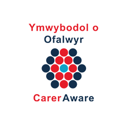 CarerAware Profile