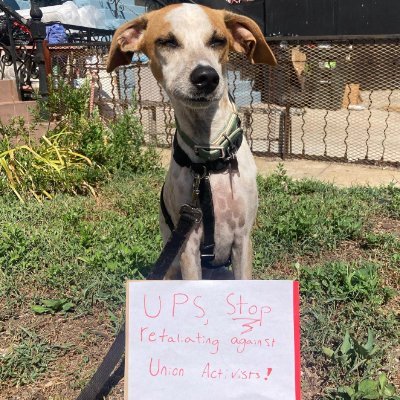 Pro-Labor, anti-oppression student/worker. Formerly a Teamsters alternate steward at UPS, formerly a member of Left Voice.