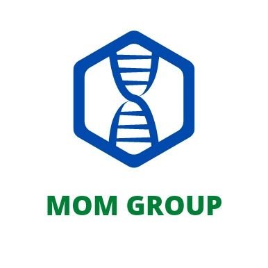 Mimicking organic Metabolites
Nucleic acids research group in Naples
PI: Prof. Daniela Montesarchio @DanielaMontesa9