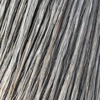 blueskoo's profile picture. Independent dev