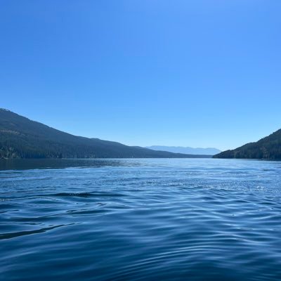 LebatardsHat's profile picture. 