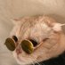 THE KOOLEST KAT_YT (@montejoreinaldo) Twitter profile photo THE KOOLEST KAT_YT (@montejoreinaldo) Twitter profile photo