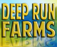 Deep Run Farms offers a Community-Supported Agriculture (CSA) program in central Maryland. We also sell wholesale produce, and have a roadside stand!